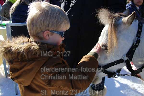 IMG 2127 prot
